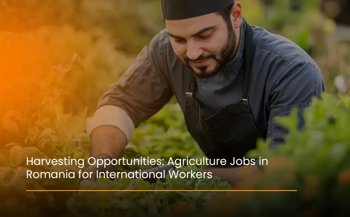 harvesting-opportunities-agriculture-jobs-in-romania-for-international-workers